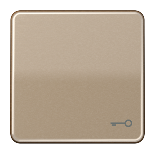 Клавиша JUNG CD 500, бронзовый