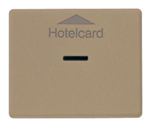 Накладка на карточный выключатель JUNG SL 500, бронза